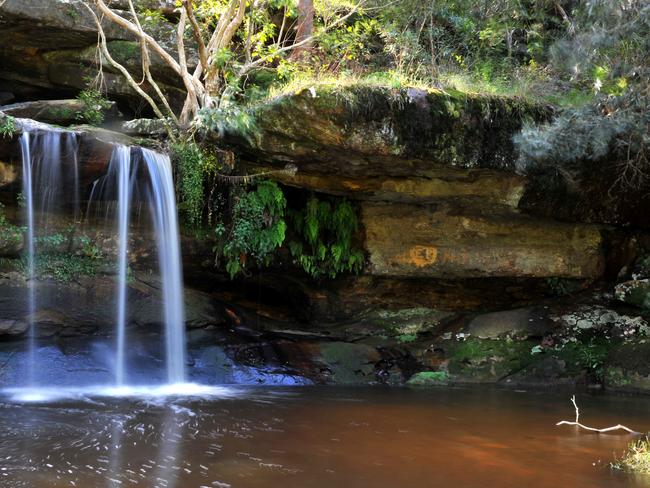 The program will be trialed at Irrawong Reserve.