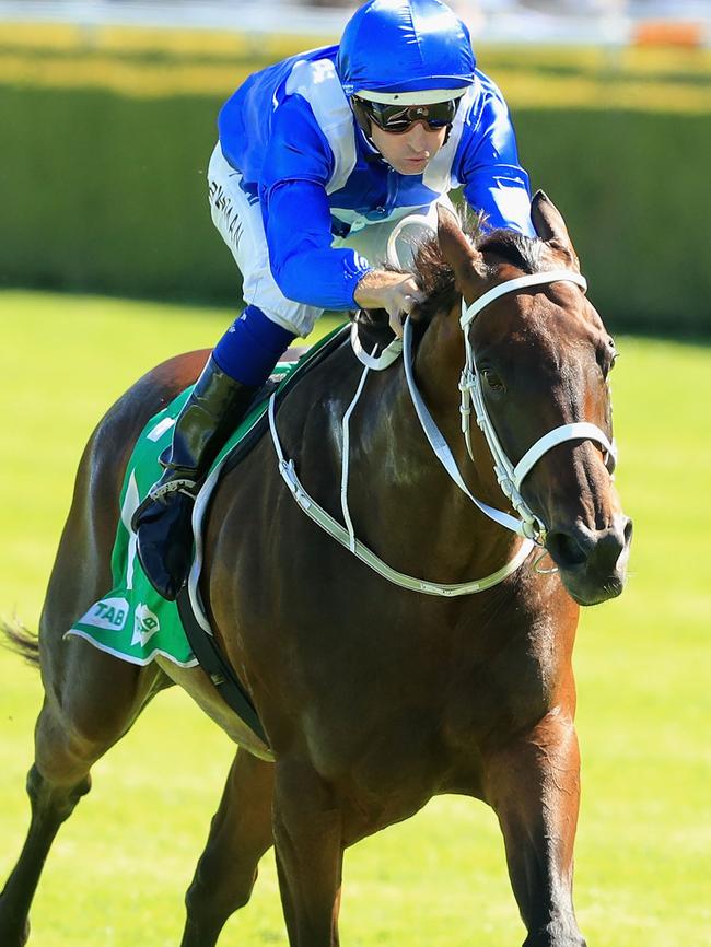 Winx wins the Chipping Norton Stakes this autumn.