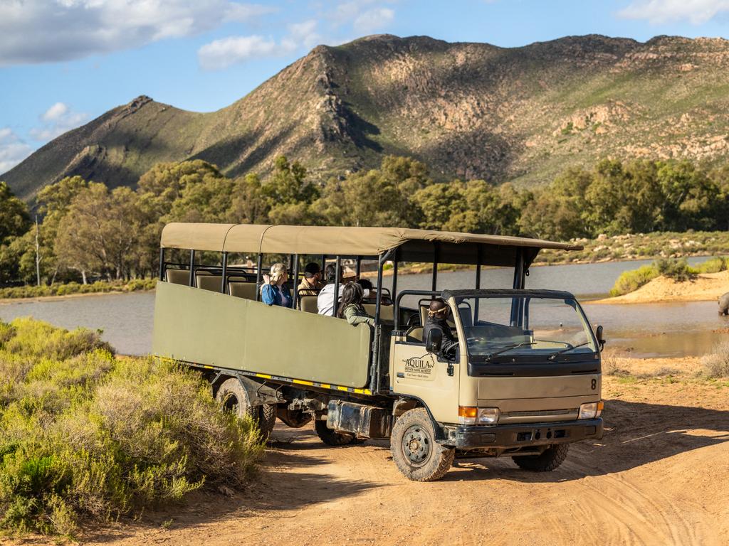 Customers will be picked up in a Uber Safari-branded vehicle in Cape Town, drive two hours to Aquila where they will enjoy lunch before hopping into a traditional safari vehicle (pictured).