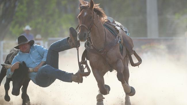 The steer wrestling competition produced some thrilling moments.