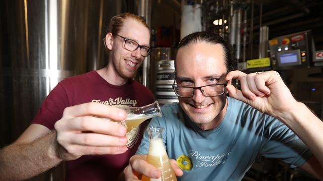 University of Queensland scientists Dr Ben Schulz and Edward Kerr, who are making beer using wild yeast from a Jacaranda tree on UQ’s St Lucia campus. Co's Pic Annette Dew