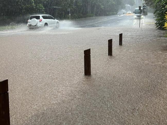 Collins Av through the Cairns Botanic Gardens at about 2pm on Tuesday. Picture: Bethany Du Vergier