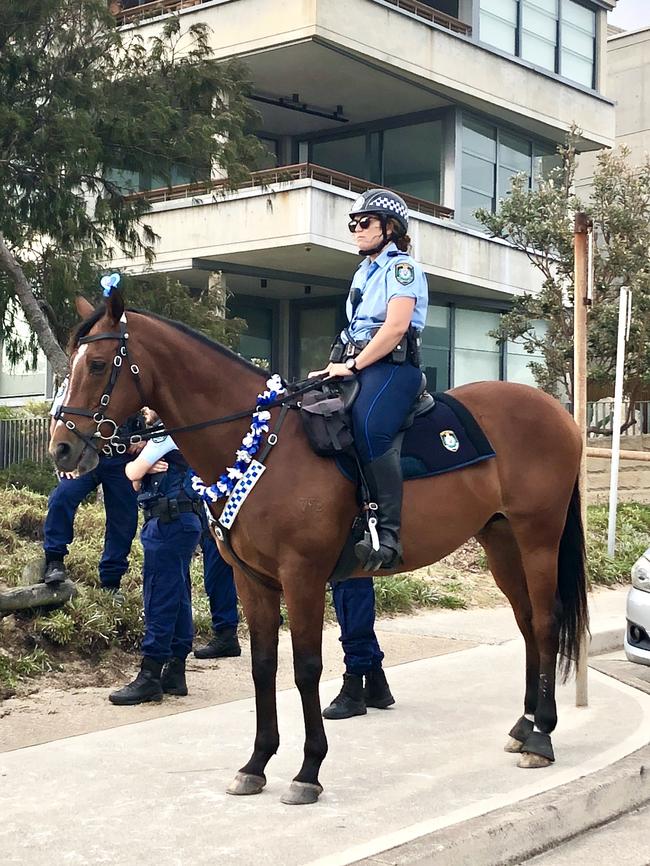 A man was charged after he allegedly honked at police horses at North Cronulla Beach. Picture: Eliza Barr