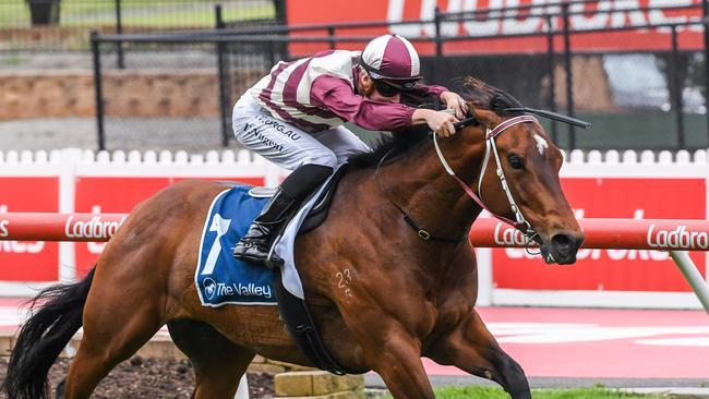 Grandview Avenue went to another level in his Carlyon Stakes win at The Valley. Picture: Racing Photos via Getty Images