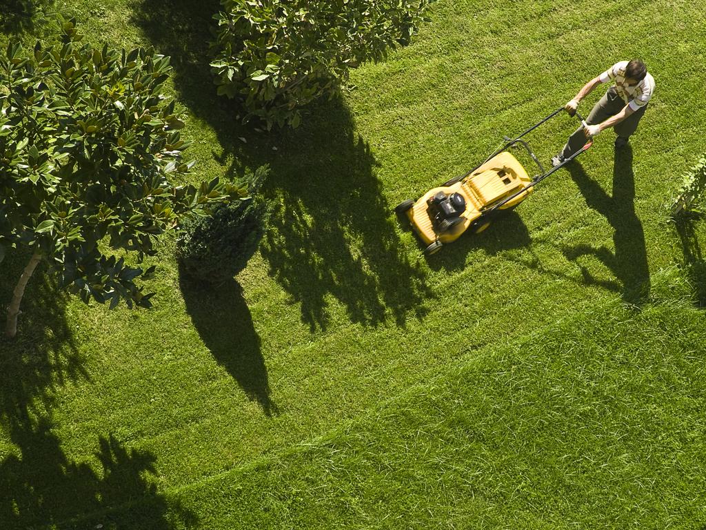 Never forget the lawn. Picture: Getty