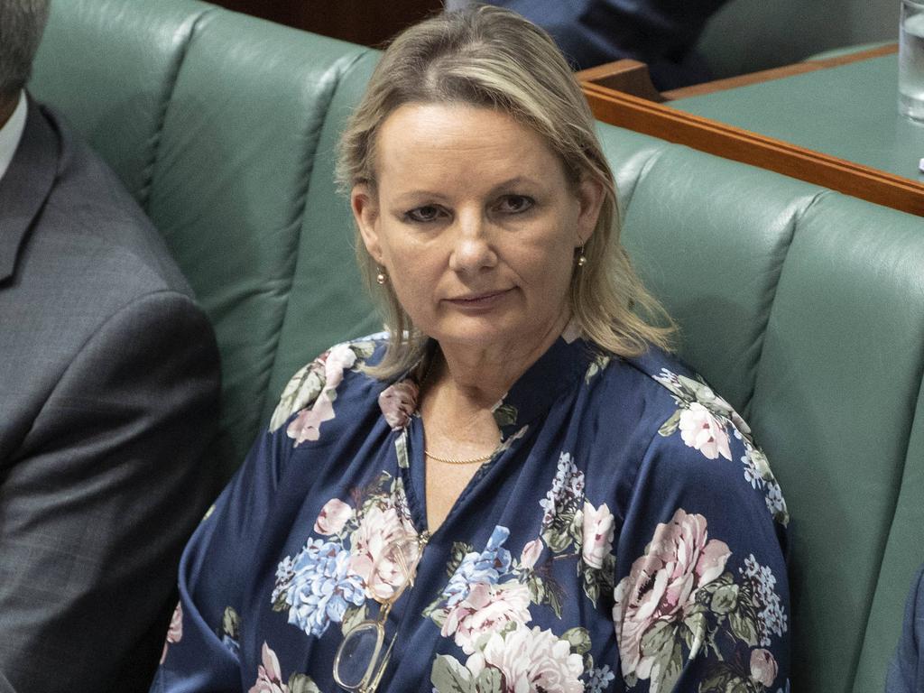 Teenagers Launch Class Action Against Sussan Ley Over Vickery Coal Mine