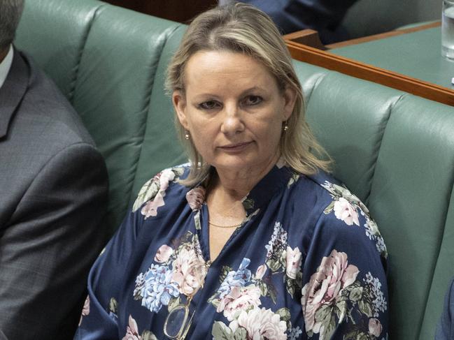 The group argues Sussan Ley’s approval of a coal mine extension violates her duty of care to young people. Picture: Gary Ramage