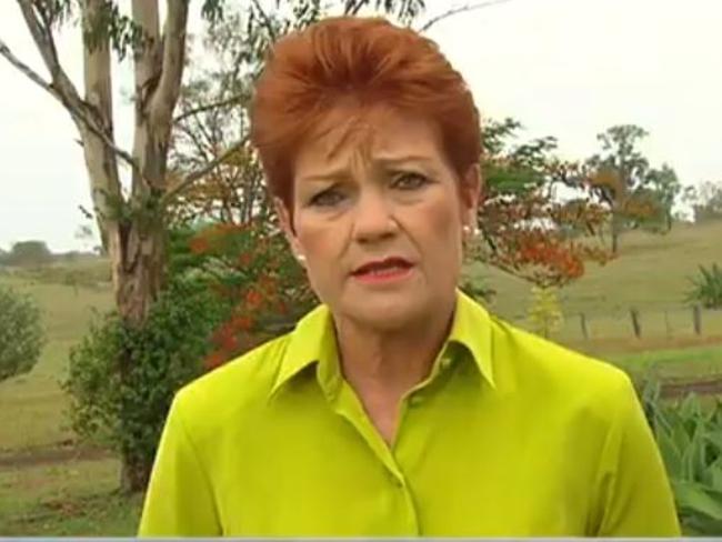 Pauline Hanson slams Rod Culleton on <i>Sunrise</i>.