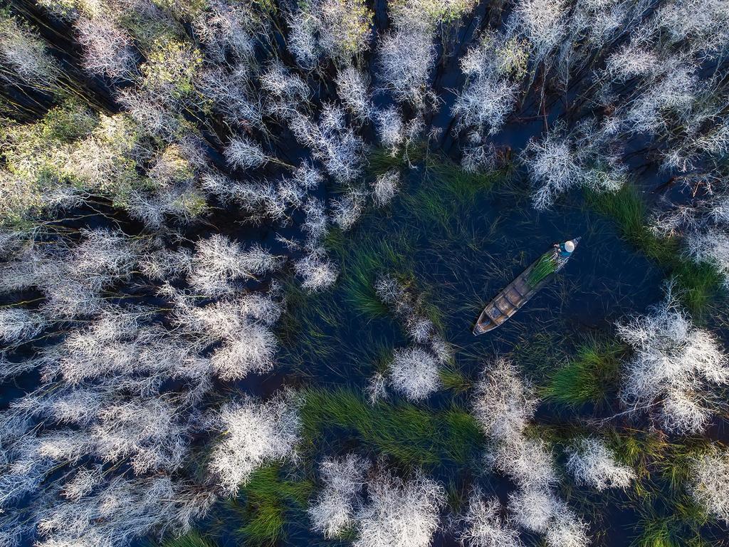 Image Name: In the melaleuca forest Photographer Name: Trung Pham Huy Year: 2018 Image Description: I took this photo in 2017 in Dong Thap province, south-west of Vietnam. This time is high tide season here with full of water covering the melaleuca forest. I used my drone to capture the moment a woman was picking up the water chestnut on her boat. Copyright: Trung Pham Huy, Vietnam, Commended, Open Travel and Winner, Vietnam National Award. Picture: Sony World Photography Awards/ Trung Pham Huy