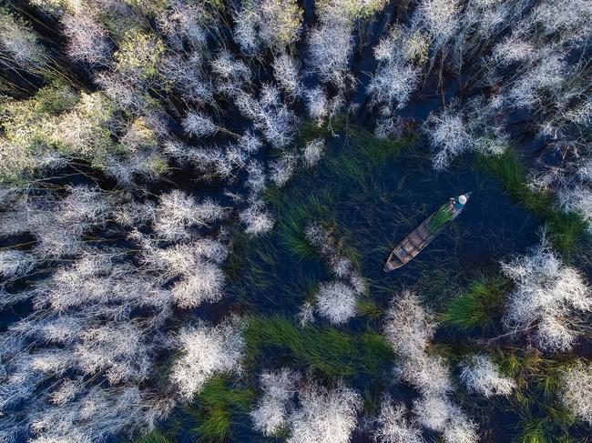 Image Name: In the melaleuca forest Photographer Name: Trung Pham Huy Year: 2018 Image Description: I took this photo in 2017 in Dong Thap province, south-west of Vietnam. This time is high tide season here with full of water covering the melaleuca forest. I used my drone to capture the moment a woman was picking up the water chestnut on her boat. Copyright: Trung Pham Huy, Vietnam, Commended, Open Travel and Winner, Vietnam National Award. Picture: Sony World Photography Awards/ Trung Pham Huy