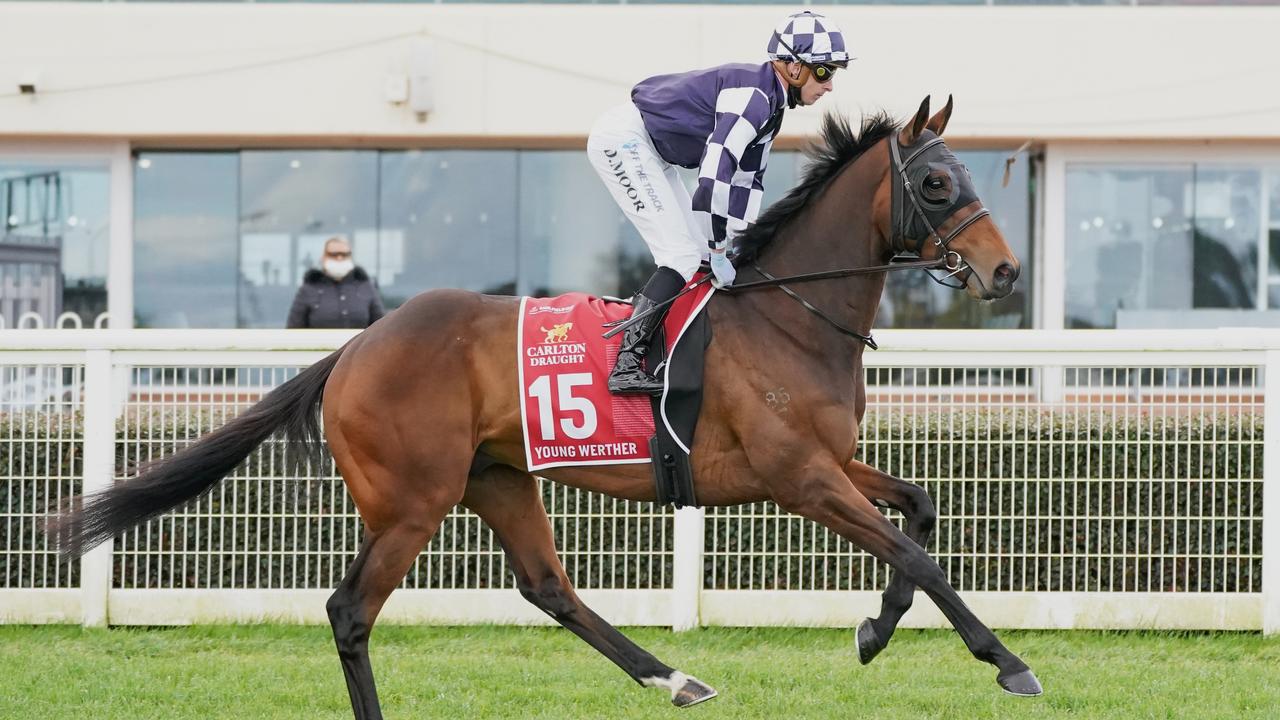 Young Werther won’t get a chance to shine on the first Tuesday in November. (Scott Barbour/Racing Photos via Getty Images).