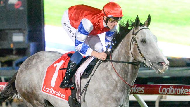 The Ciaron Maher-trained Berkshire Breeze heads an opening first market on Saturday’s Andrew Ramsden at Flemington. Picture: Racing Photos