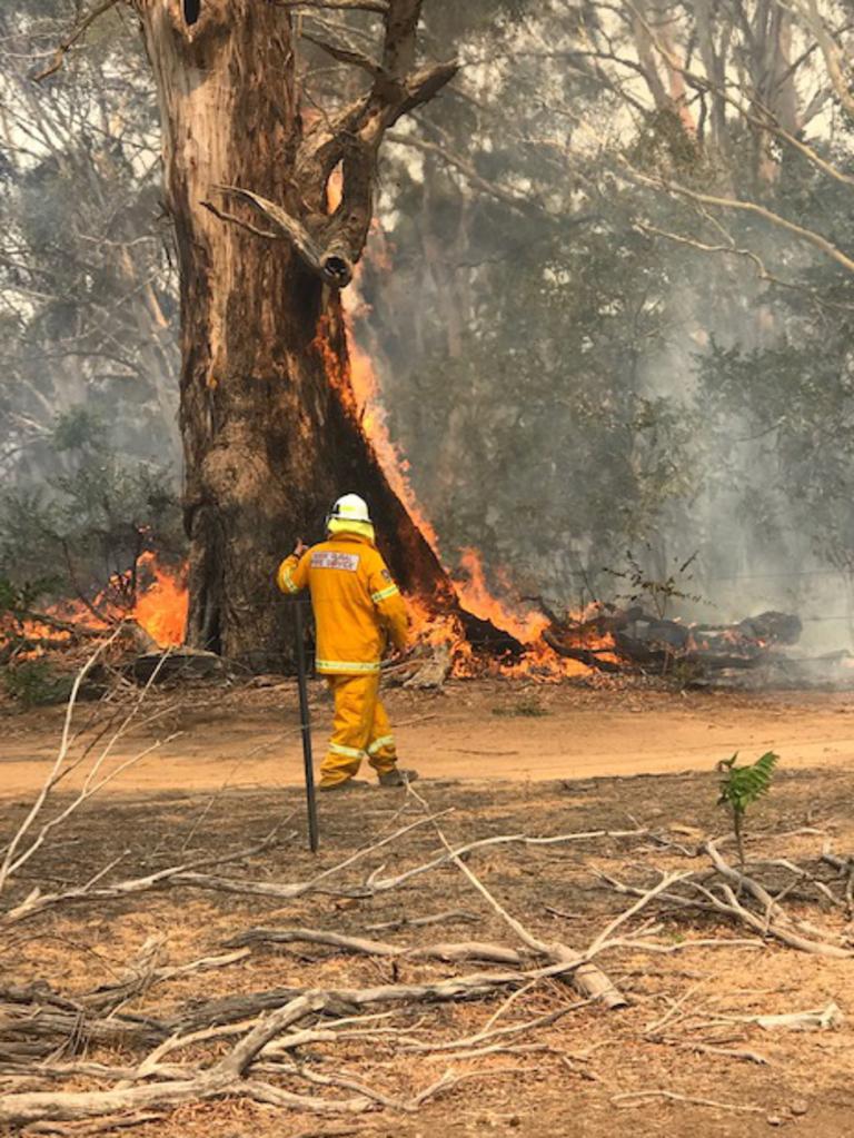 The Middle Arm brigade at the Green Wattle Creek fire.