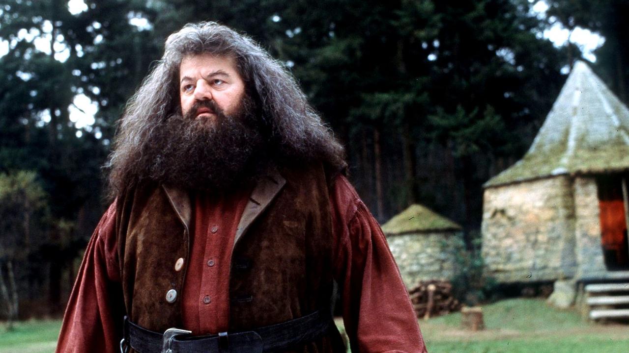 Harry Potter Star Robbie Coltrane, Who Played Hagrid, Dead | Daily ...