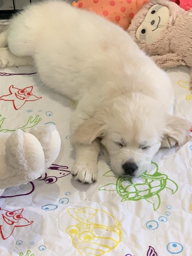 Asleep on a waterproof mat.