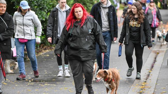 Million Paws Walk at Adelaide Botanic Gardens. Picture: Brenton Edwards