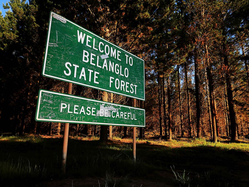 Belanglo state forest, where serial killer Ivan Milat killed seven backpackers, is just an hour’s drive from where he has been locked up for 18 years. Picture: Adam Taylor