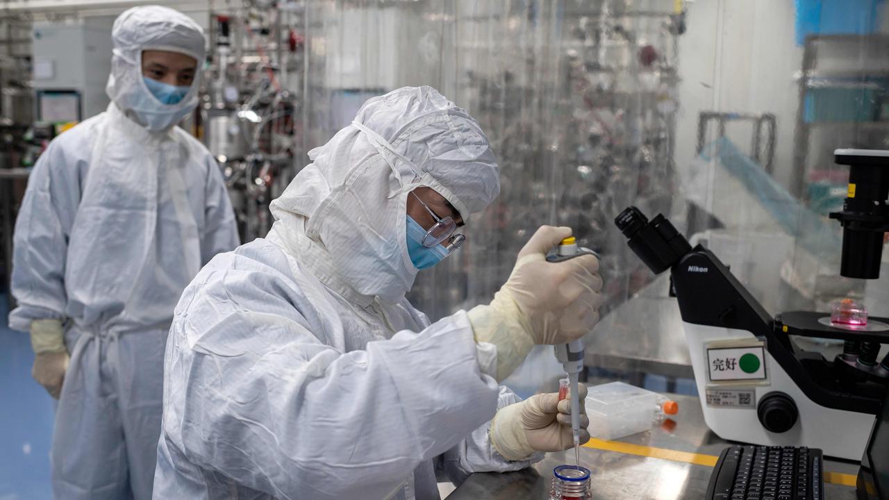 Scientists in Beijing have also used kidney cells taken from monkeys as they search for a vaccine. Picture: Nicolas Asouri/AFP