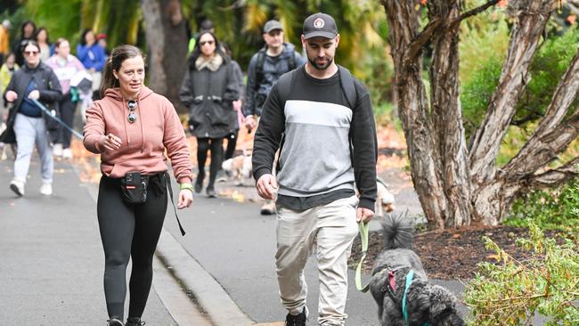 Million Paws Walk at Adelaide Botanic Gardens. Picture: Brenton Edwards