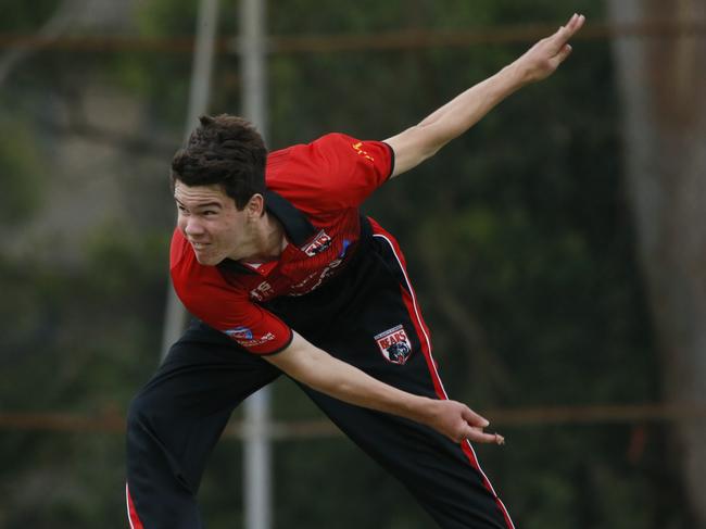 Toby Hannan in action for Norths. Photographer: Warren Gannon Photography