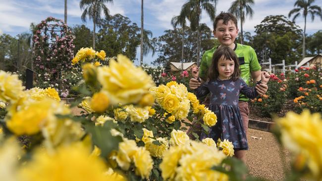 Edith Cole and her brother Alex Cole enjoy the spectacular display of roses in the Queensland State Rose Garden, Newtown Park, Saturday, October 17, 2020. Picture: Kevin Farmer