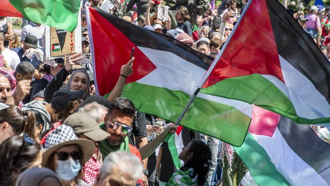 Pro-Palestine protesters in the Sydney CBD on Sunday 29 October. Picture: Monique Harmer