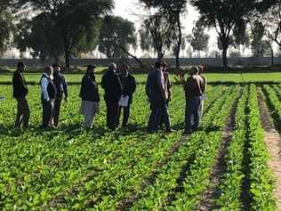 SHAREHOLDERS VOTE: In a sugar beet field in Pakistan, Isis Central Sugar Mill chairman Peter Russo discusses the possibility of the Almoiz Group acquiring a 54.03 per cent stake in the mill.