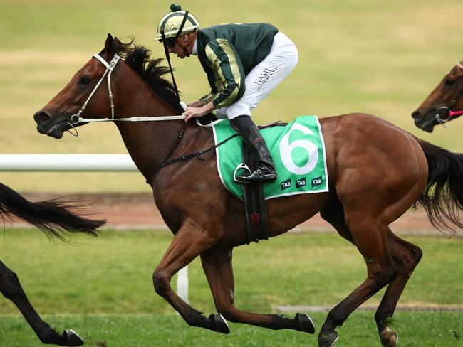 Tribeca Star is Graeme's best bet of the day at the Gold Coast on Saturday. Photo: Jason McCawley/Getty Images.