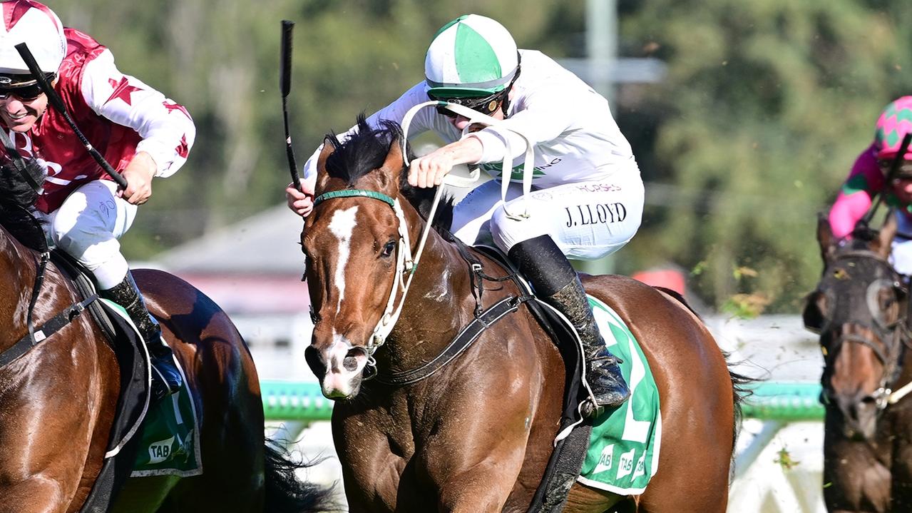Laming gelding has Sires’ odds slashed after Ipswich win