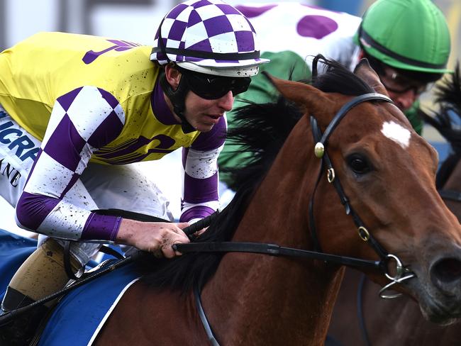 Sacred Elixir (left) puts in a powerful performance to win the Super Vase on Saturday. Picture: AAP