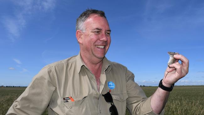 MOUSE PLAUGE: Researcher Steve Henry from CSIRO, Australia's national science agency. Pic: Supplied