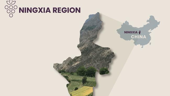 Treasury Wine Estates announces China as Penfolds newest global sourcing region. Ningxia wine region.