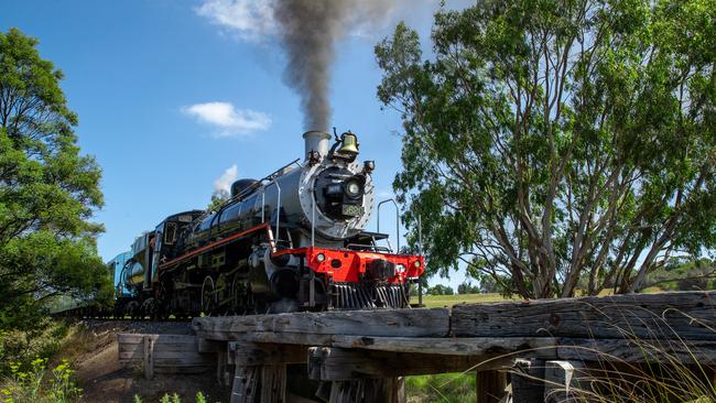 Q-train at Queenscliff is set to resume services from March 12.