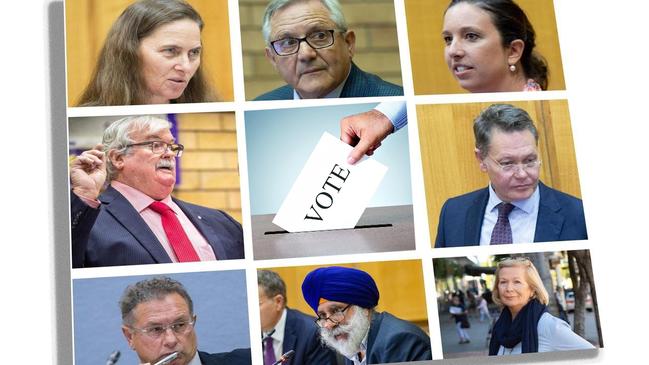 Coffs Harbour City Councillors talk about their intentions for the postponed elections.