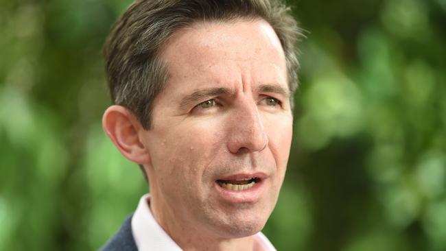 Tourism Minister Simon Birmingham. Picture: Lawrence Pinder