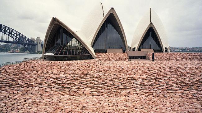 Thousands gather for naked Spencer Tunick Opera House 