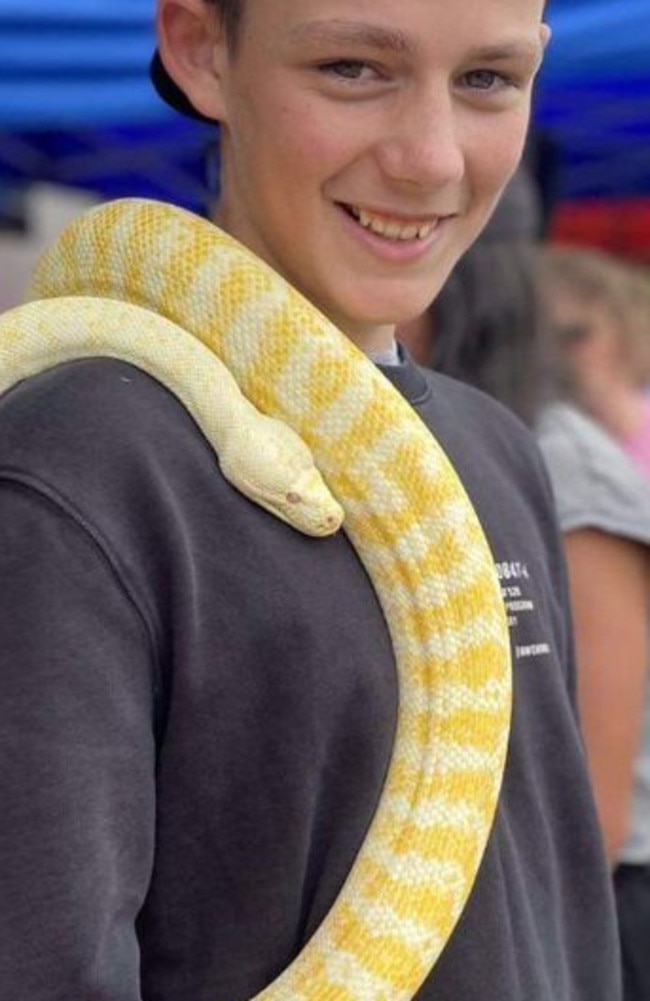 Described as not your everyday 15-year-old Codi Walmsley is well known and respected around the Hamilton, Balmoral and Cavendish communities. Picture: Supplied.