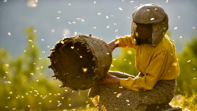 Filmed over three years, Honeyland is well and truly deserving of all the buzz.