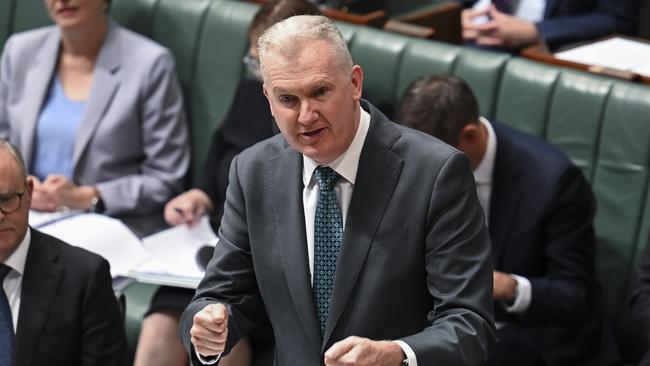 Tony Burke in question time on Tuesday. Picture: NCA NewsWire / Martin Ollman