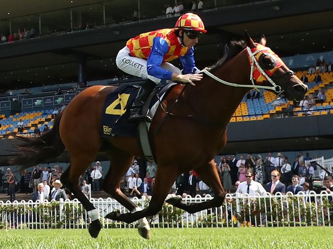 SYDNEY, AUSTRALIA - FEBRUARY 22: Jason Collett riding Firestorm win Race 5 Bisley Workwear Millie Fox Stakes  during Sydney Racing at Rosehill Gardens on February 22, 2025 in Sydney, Australia. (Photo by Jeremy Ng/Getty Images)