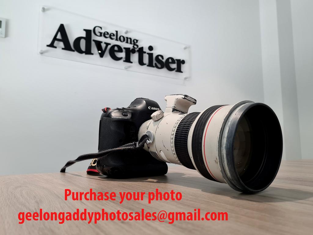 Purchase your photo at geelongaddyphotosales@gmail.com