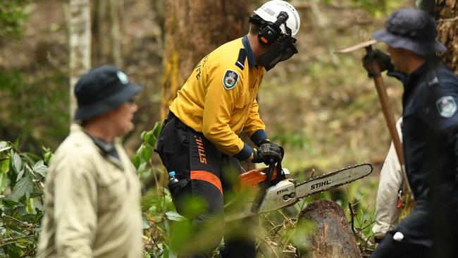 Detectives and fire officers searching for William Tyrrell's remains in scrub at Kendall. Picture NCA NewsWire / Trevor Veale