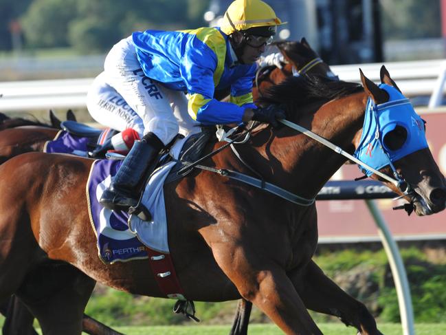 Ascot Races 18.4.2015  race 7  No. 8 First Among Equals ridden by Peter Knuckey wins.