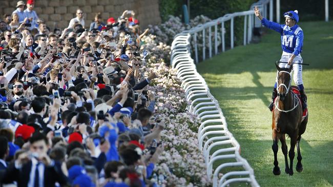 The Moonee Valley crowd celebrates Winx’s record-equalling Cox Plate triumph. Picture: David Caird