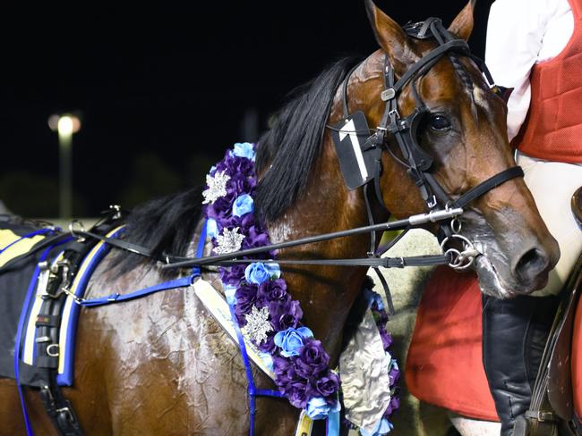 Lennytheshark after winning the second Inter Dominion heat on November 28. Picture: Jodie Hallows