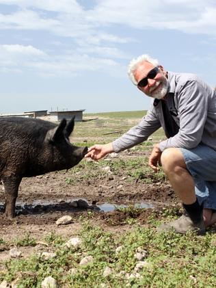 Minniribbie pig farm.