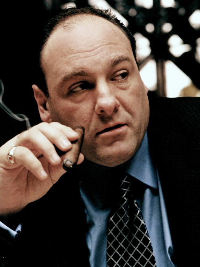 The show is expected to be in the style of The Sopranos.