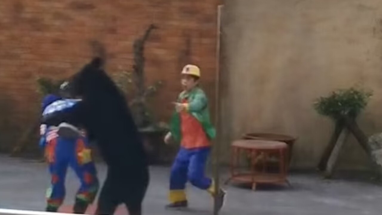 The black bear can be seen grabbing the performer and trying to pin him down on the ground during a circus performance in China last Tuesday. Picture: Asiawire