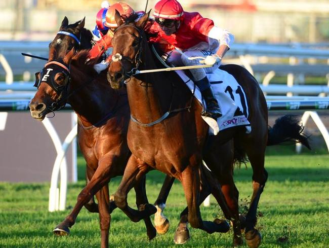 Three Group 1 meetings, the Oaks, Stradbroke and Tatt’s Tiara, have been transferred from Eagle Farm to Doomben. Picture: Grant Peters