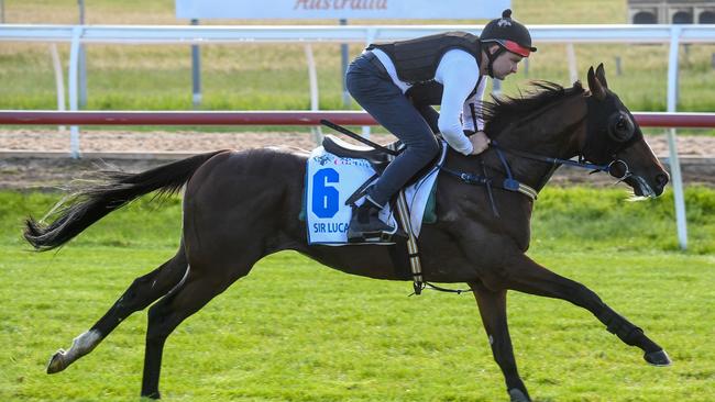 Sir Lucan finished fourth Great Voltigeur Stakes, a race that has proven a good Melbourne Cup lead-up through Cross Counter and Mahler. Picture: Getty Images)